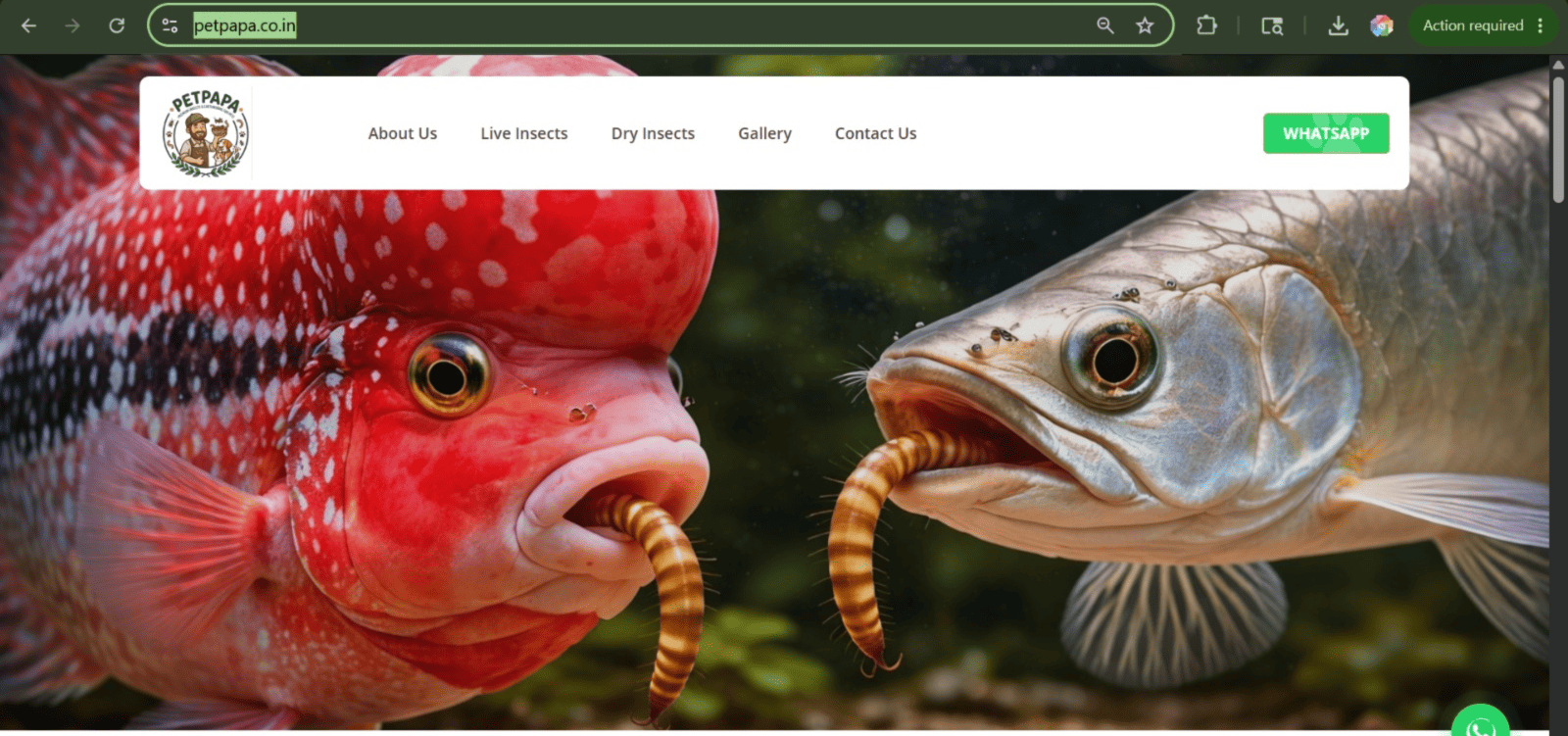Namami Software Company is a provider of IT solutions,